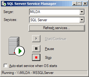Microsoft SQL Server Service Manager