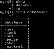 MySQL klient