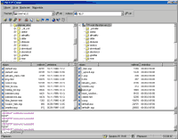 Vzhled programu IW FTPort Client 3.0