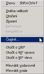 Položka Číselná tranformace