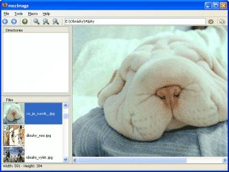 Co dovede mozImage
