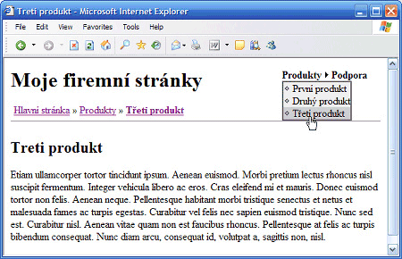 Nové ovládací prvky v ASP.NET 2.0 - rozbalovací menu a drobečková navigace