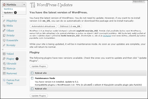 WordPress - aktualizace pluginu