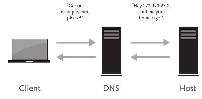 anatomie pozadavku na server