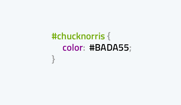 css vtípky chucknorris