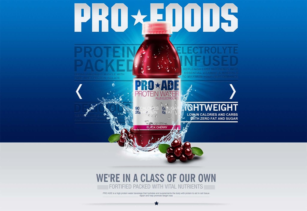 pro-foods website