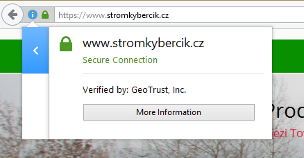 https-stromkybercik